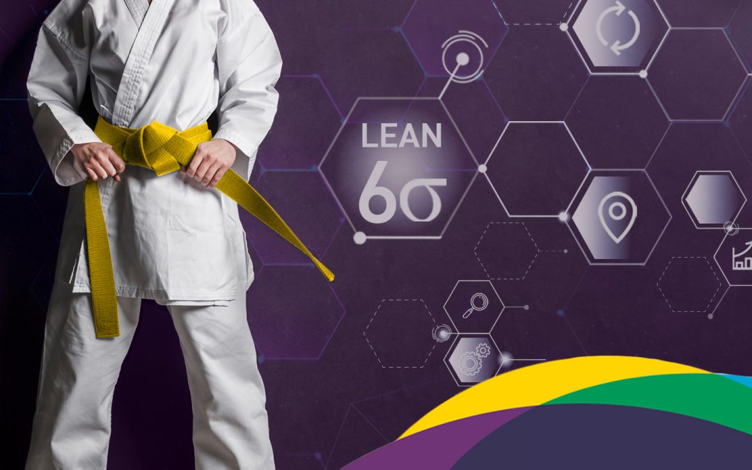 Lean Six Sigma Made Easy: A Lean Six Sigma Yellow Belt Certification Training FREE Program Overview Session
